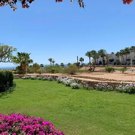 Sharm Domina Coral Bay Vista Mare
